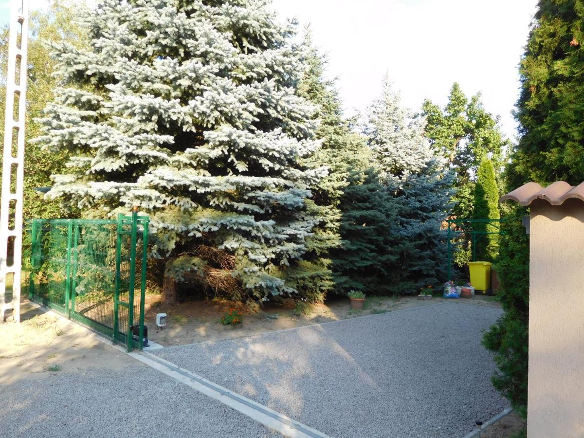 Golden Apartman Orosháza Εξωτερικό φωτογραφία